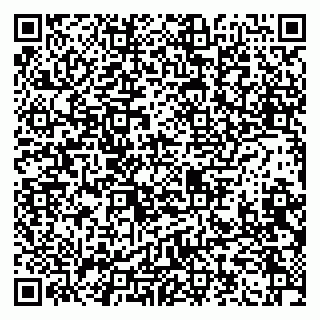 vCard 79100310685