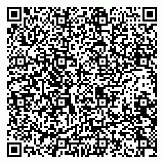 vCard 79100310687