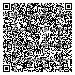 vCard 79100310688