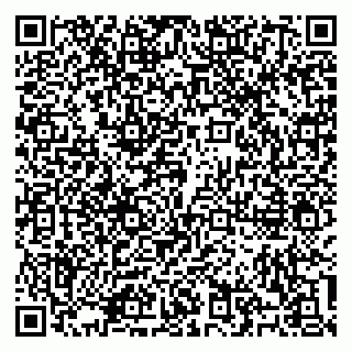 vCard 79100310689