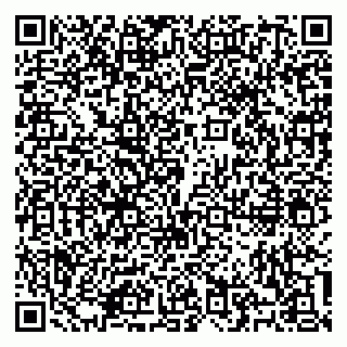 vCard 79100310691