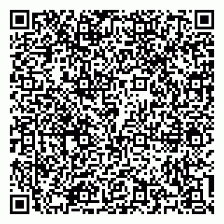 vCard 79100310699