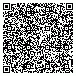 vCard 79100310703