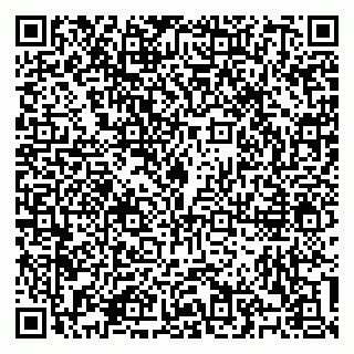 vCard 79100310706