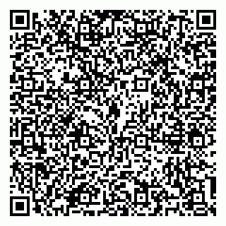 vCard 79100310707