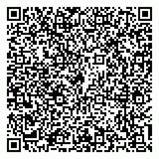 vCard 79100310728