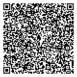 vCard 79100310729