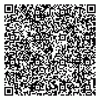 vCard 79100310732