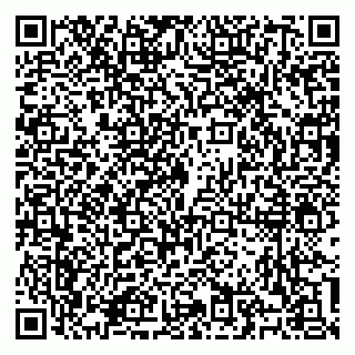 vCard 79100310733
