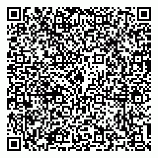 vCard 79100310735