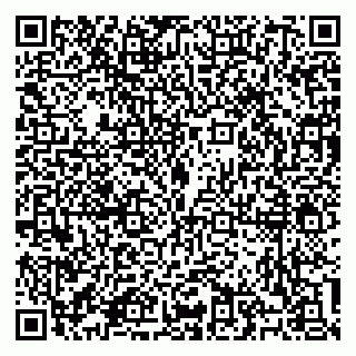 vCard 79100310736