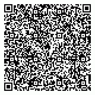 vCard 79100310737
