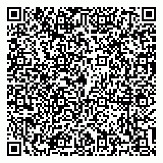 vCard 79100310738