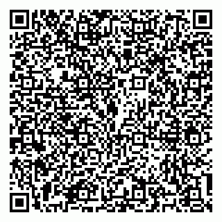 vCard 79100310740