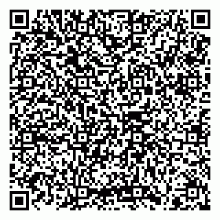 vCard 79100310741
