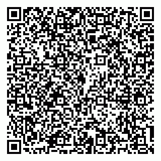 vCard 79100310746