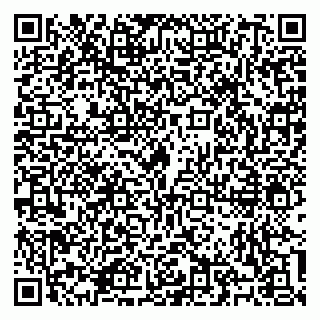 vCard 79100310753