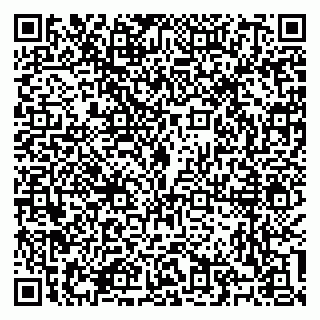 vCard 79100310768