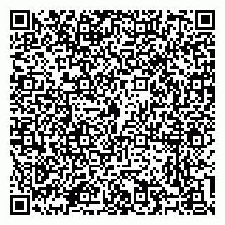 vCard 79100310771