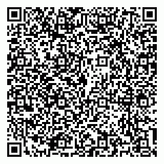 vCard 79100310777
