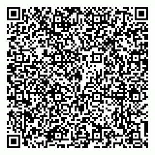 vCard 79100310778
