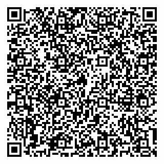 vCard 79100310780