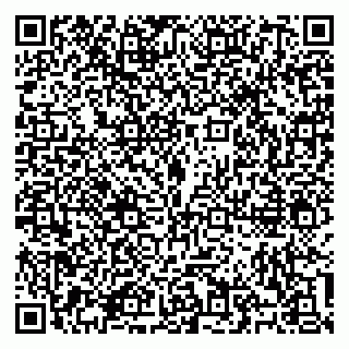 vCard 79100310781