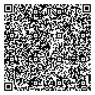 vCard 79100310782