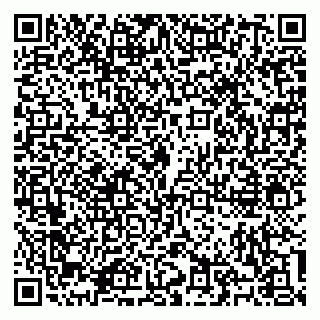 vCard 79100310785