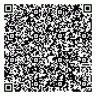 vCard 79100330010