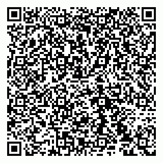 vCard 79100330039