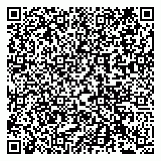 vCard 79100330173