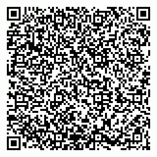 vCard 79100420039
