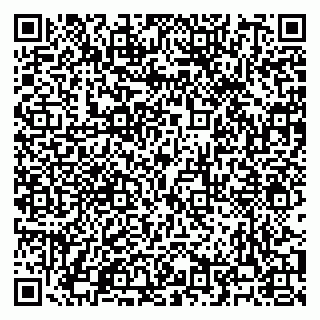 vCard 79100450173