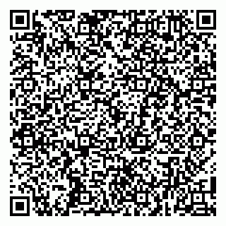 vCard 79100480010