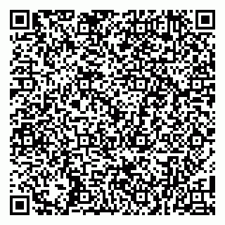 vCard 79100480141