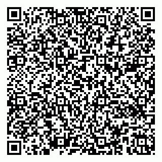 vCard 79100480171