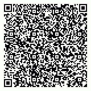 vCard 79100480201
