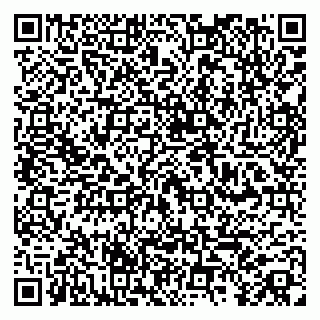 vCard 79100480221