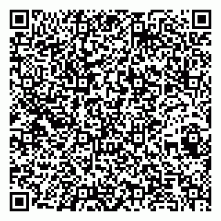vCard 79100480239