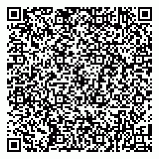 vCard 79100480263