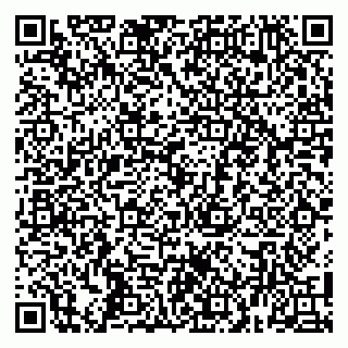 vCard 79100480294