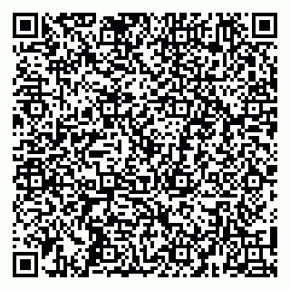 vCard 79100480296
