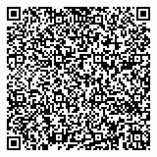 vCard 79100480303