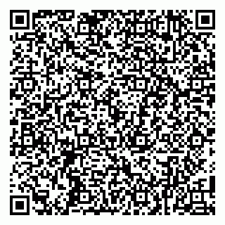 vCard 79100480321
