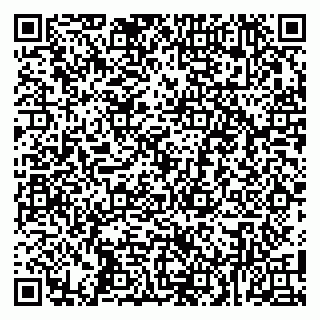 vCard 79100480335