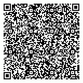vCard 79100480354