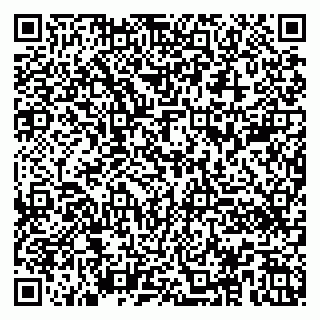 vCard 79100480397