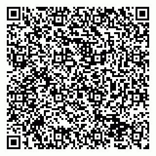 vCard 79100510312