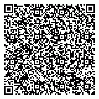 vCard 79100510353